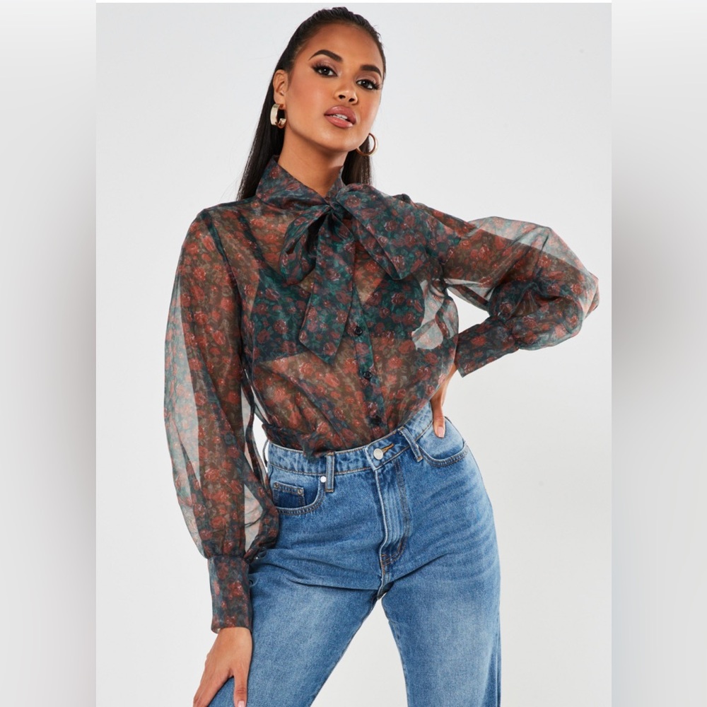 NWOT Organza puff sleeve semi sheer blouse with floral print